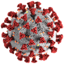 "Severe acute respiratory syndrome coronavirus 2"