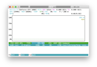 Screenshot of nvtop in action